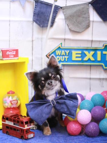 20230419らんまるちゃん